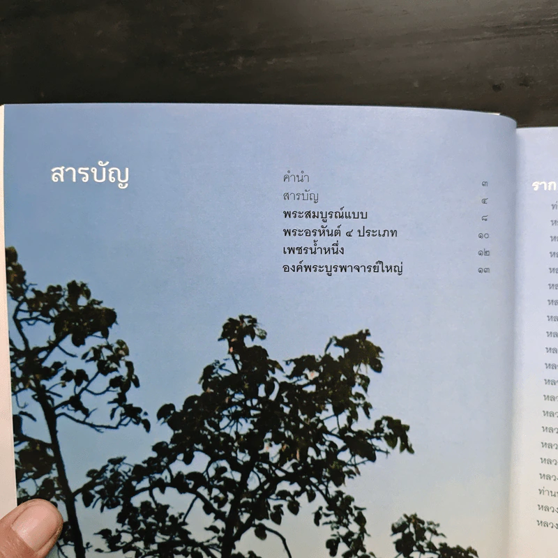 ไม่มาเกิดมาตายเรียกว่า ชาติสุดท้าย - หลวงตาพระมหาบัว รูปที่ 9