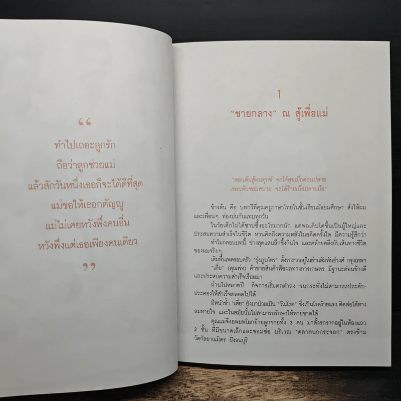 ธุรกิจพันล้านที่คนเมิน - วันชัย รุ่งภูวภัทร, ป่วย ใจไทย รูปที่ 8