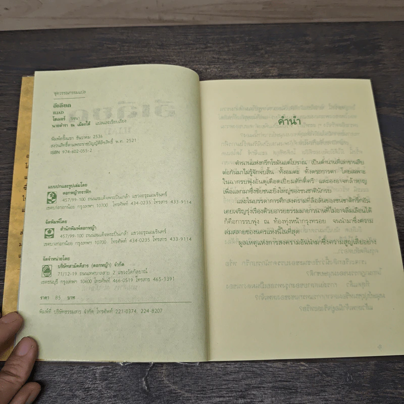 อีเลียด Iliad - มหากวีโฮเมอร์ รจนา, นายตำรา ณ เมืองใต้ รูปที่ 6