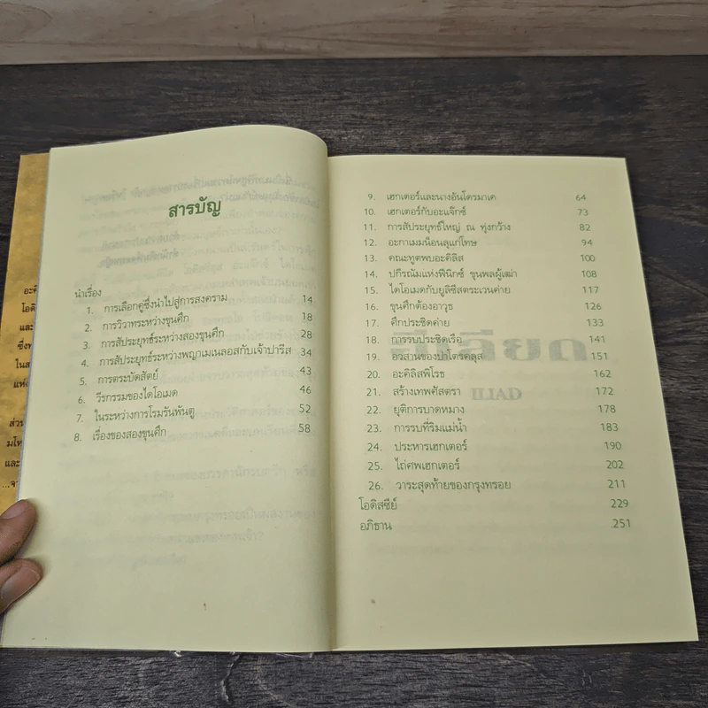 อีเลียด Iliad - มหากวีโฮเมอร์ รจนา, นายตำรา ณ เมืองใต้ รูปที่ 7