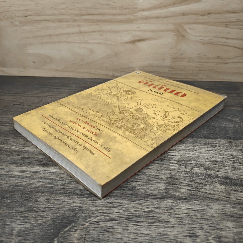 อีเลียด Iliad - มหากวีโฮเมอร์ รจนา, นายตำรา ณ เมืองใต้ รูปที่ 3