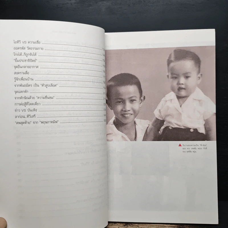 เทพชัย หย่อง : บทสุดท้ายทีวีเสรี รูปที่ 8