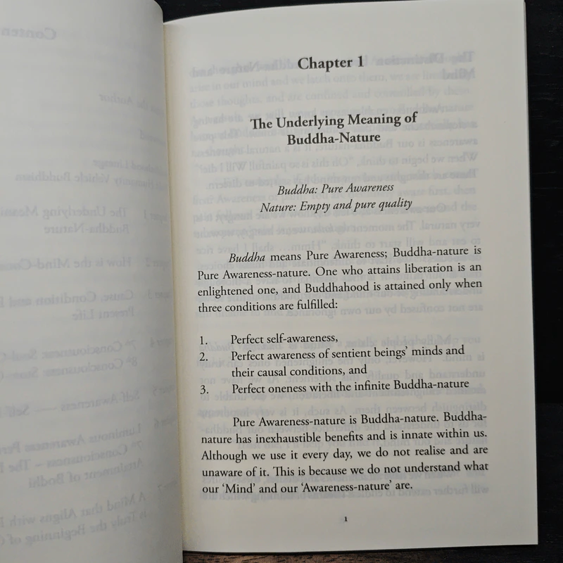 Dynamics of the Mind - Reverend Ming-An Chen รูปที่ 9