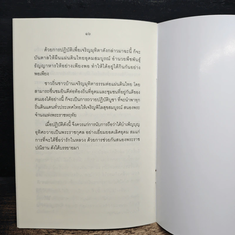 ทำอย่างไร จะพูดได้เต็มปากว่า เรารักในหลวง รูปที่ 8