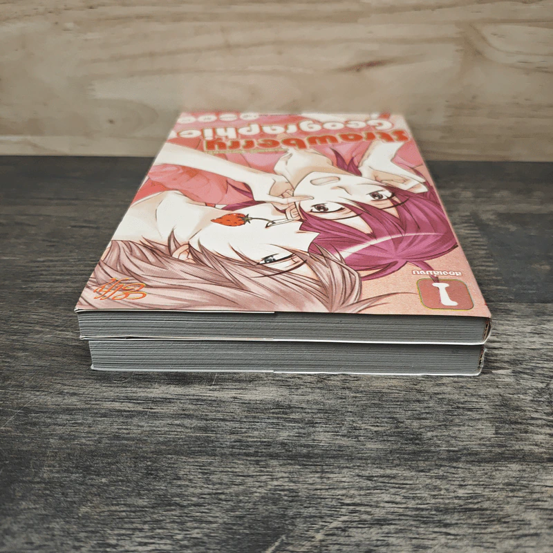 Strawberry Geographic 2 เล่มจบ รูปที่ 5
