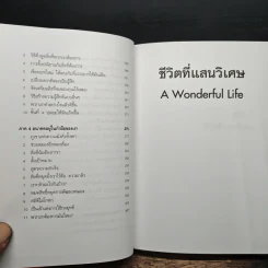 ชีวิตที่แสนวิเศษ - วันชัย ประชาเรืองวิทย์ รูปที่ 9
