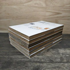 ยอดนักสืบจิ๋วโคนัน วันสบายๆของซีโร่ เล่ม 1-6 รูปที่ 4