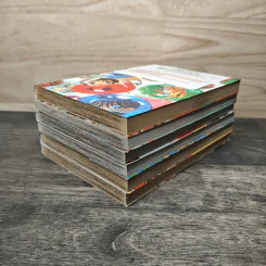 Lagoon Engine ลากูน เองเจิ้น เล่ม 1-6 รูปที่ 4