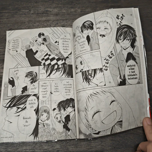 DEVIL WITH FLOWER เดวิล วิธ ฟลาวเวอร์ 10 เล่มจบ - Hisamu Oto รูปที่ 7