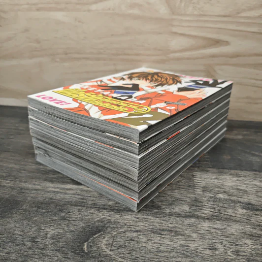 มิโดริจังกับเจ้าชายทั้งสิบเอ็ด เล่ม 2-8 รูปที่ 4