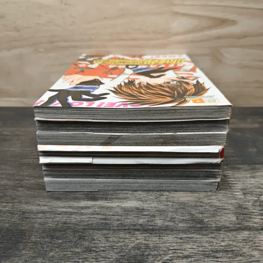มิโดริจังกับเจ้าชายทั้งสิบเอ็ด เล่ม 2-8 รูปที่ 5