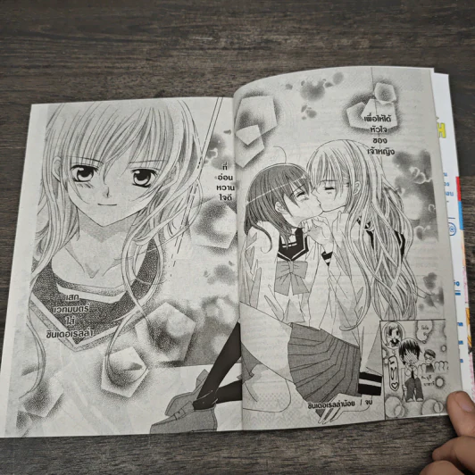 มิโดริจังกับเจ้าชายทั้งสิบเอ็ด เล่ม 2-8 รูปที่ 8