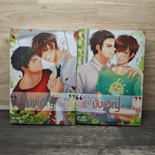 My Accidental Love is You รักนี้บังเอิญคือคุณ 2 เล่มจบ - MAME รูปที่ 1