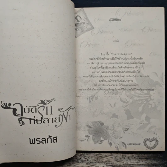 อุบัติรักที่ปลายฟ้า - พรลภัส รูปที่ 7