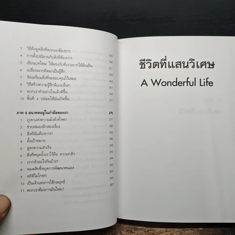ชีวิตที่แสนวิเศษ - วันชัย ประชาเรืองวิทย์ รูปที่ 9