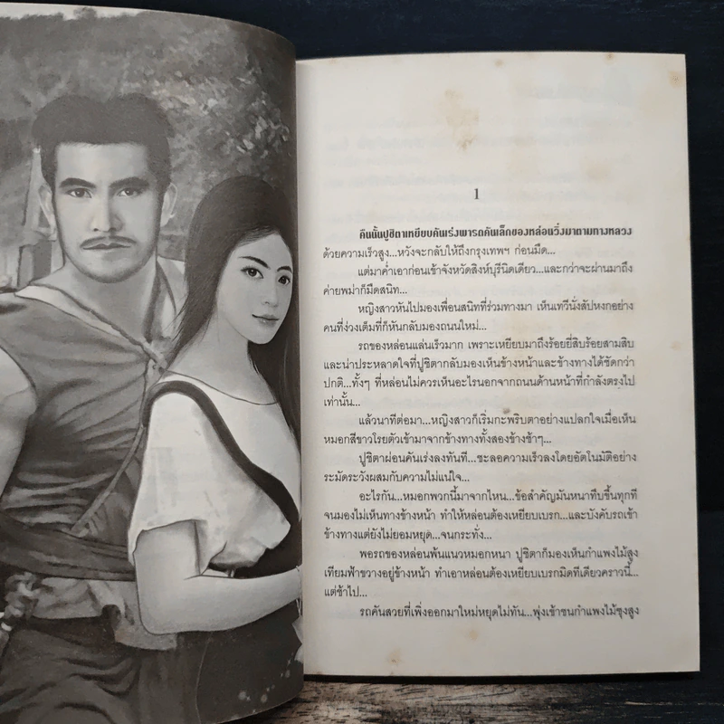 มนต์รักนักรบ - นภาลัย ไผ่สีทอง รูปที่ 6