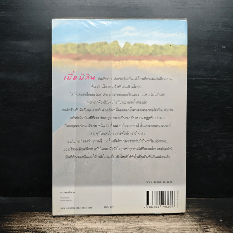 โอบหัวใจด้วยไอรัก - ลินิน รูปที่ 2