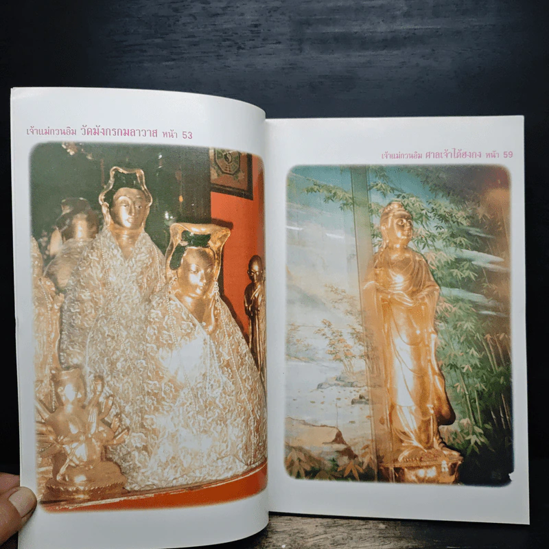 เจ้าแม่กวนอิม พระเมตตาปาฏิหาริย์และตำหนักที่ประทับเจ้าแม่กวนอิม ที่มีผู้เลื่อมใสศรัทธาทั่วฟ้าเมืองไทย รูปที่ 7