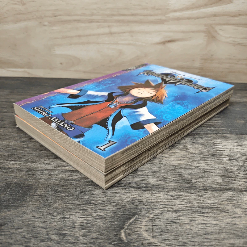 Kingdom Hearts เล่ม 1-2 - Shiro Amano รูปที่ 4