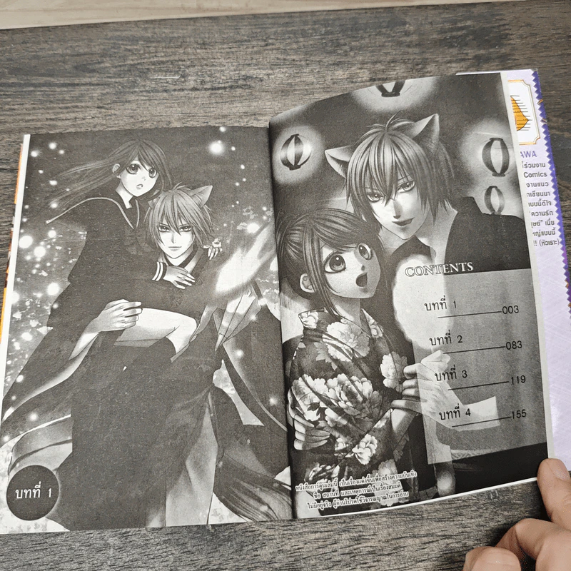 เจ้าสาวตัวน้อยของนายจิ้งจอก 3 เล่มจบ - Saki Aikawa รูปที่ 6