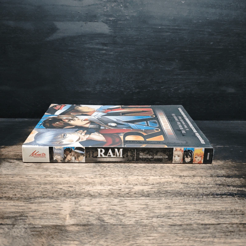 R.A.M ภารกิจสิ้นสุดกาลเวลา รูปที่ 3