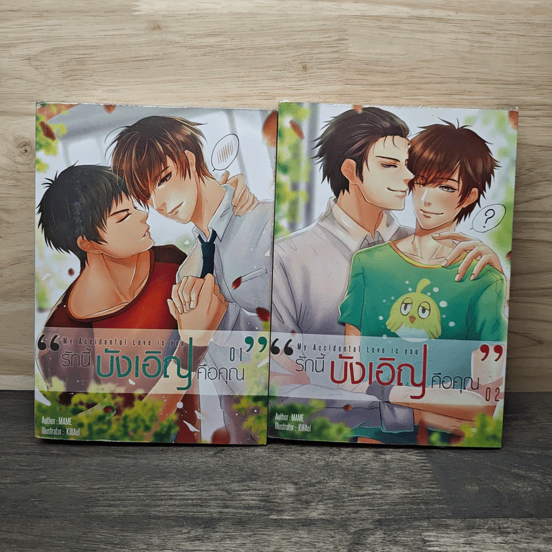 My Accidental Love is You รักนี้บังเอิญคือคุณ 2 เล่มจบ - MAME รูปที่ 1