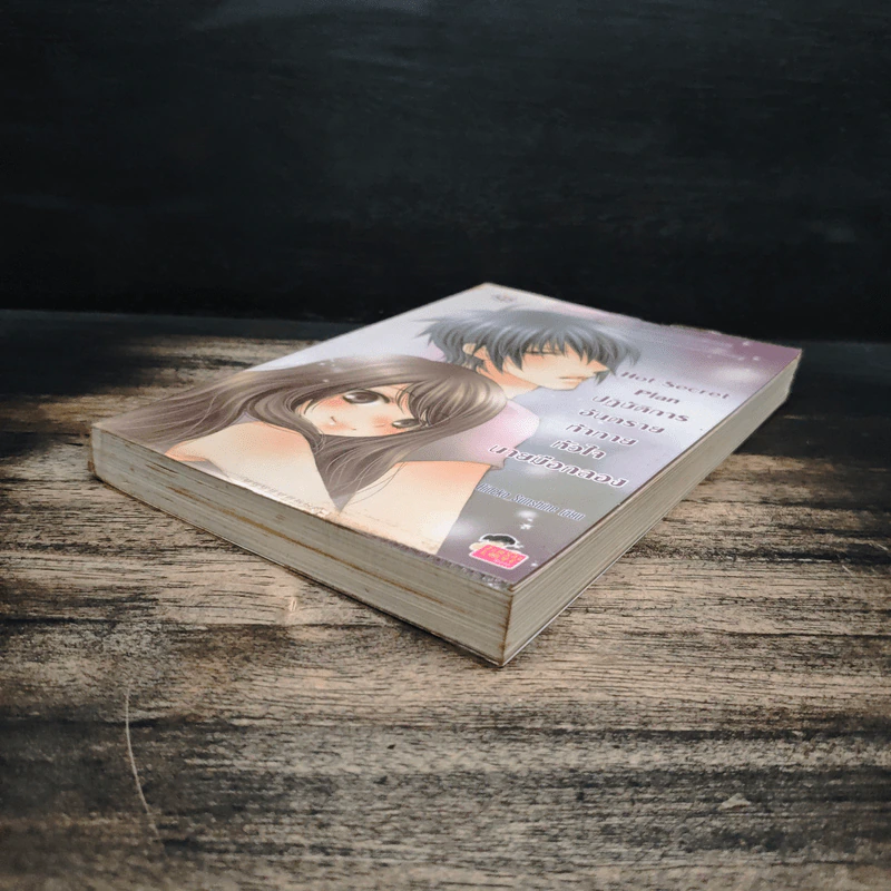 Hot Secret Plan ปฏิบัติการอันตรายท้าทายหัวใจนายมือกลอง - Hideko_Sunshine รูปที่ 4