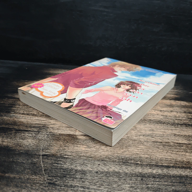 Sunshine Day ปิดตำรารักษาหัวใจ - TheLittleFinger รูปที่ 4