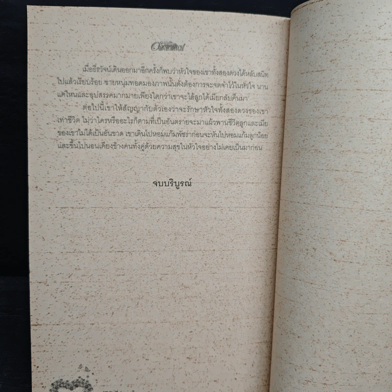 อุบัติรักที่ปลายฟ้า - พรลภัส รูปที่ 9