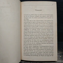 Deinen Weg gehen - Alexandra Collins Dickerman รูปที่ 8