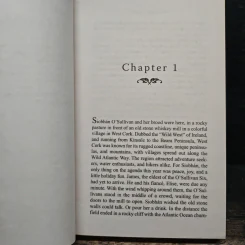 Murder at an Irish Christmas - Carlene O'Connor รูปที่ 7
