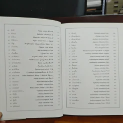 สมุนไพร ไม้พื้นบ้าน เล่ม 1-5 รูปที่ 21