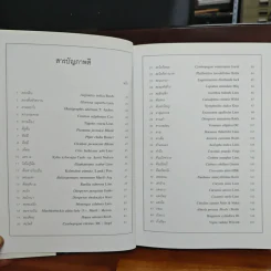 สมุนไพร ไม้พื้นบ้าน เล่ม 1-5 รูปที่ 20