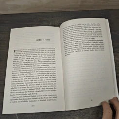 The Wanderer - Michael Ridpath รูปที่ 8