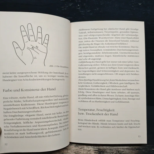 Das 1x1 der Handlesekunst - Helmut Gerhart รูปที่ 10