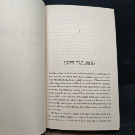 Since We Fell - Dennis Lehane รูปที่ 8