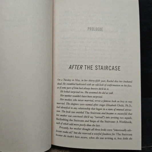 Since We Fell - Dennis Lehane รูปที่ 7