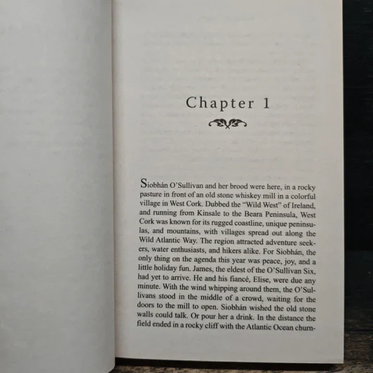 Murder at an Irish Christmas - Carlene O'Connor รูปที่ 7