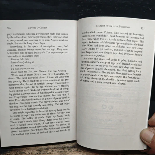Murder at an Irish Christmas - Carlene O'Connor รูปที่ 9