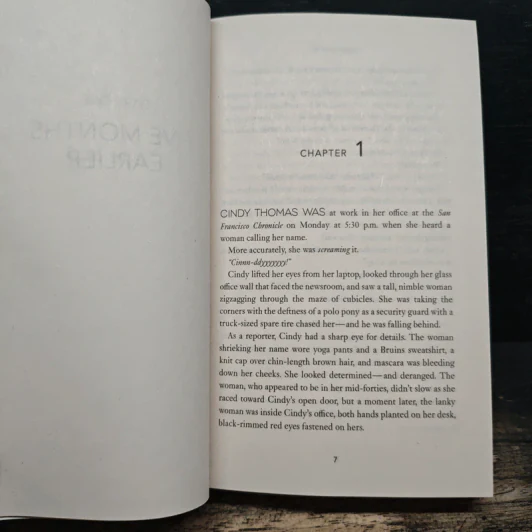 21st Birthday - James Patterson รูปที่ 9