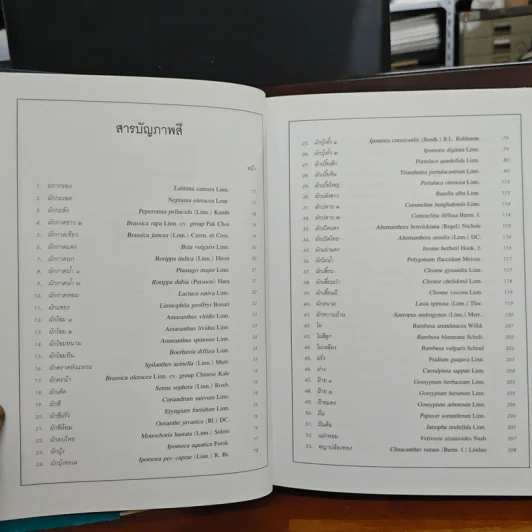 สมุนไพร ไม้พื้นบ้าน เล่ม 1-5 รูปที่ 15