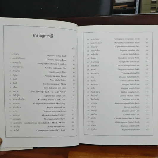 สมุนไพร ไม้พื้นบ้าน เล่ม 1-5 รูปที่ 20