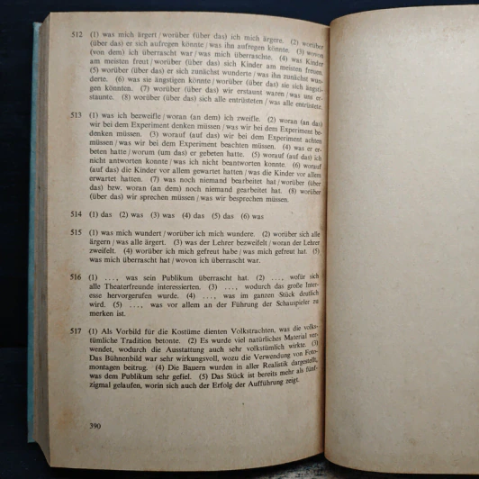 Deutsche Übungsgrammatik - Gerhard Helbig, Joachim Buscha รูปที่ 11