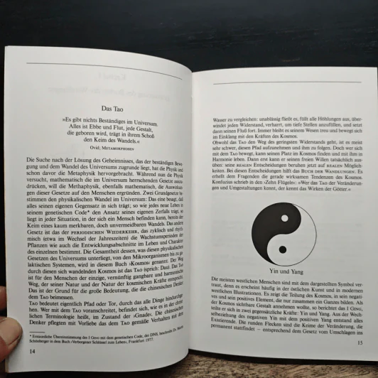 Das Arbeitsbuch zum I Ging - R.L. Wing รูปที่ 10