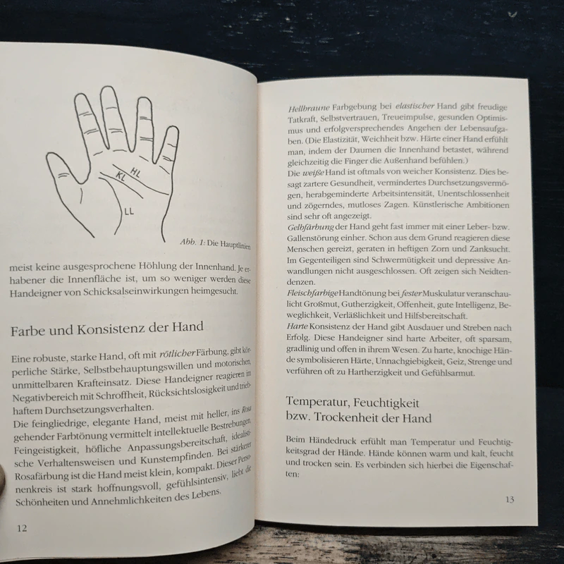 Das 1x1 der Handlesekunst - Helmut Gerhart รูปที่ 10