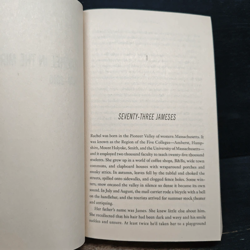 Since We Fell - Dennis Lehane รูปที่ 8