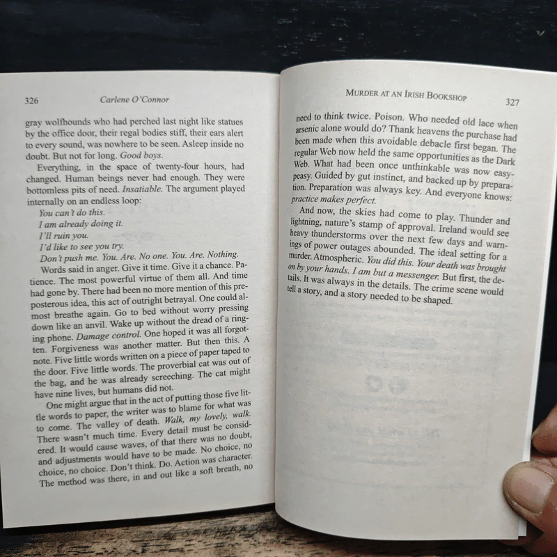 Murder at an Irish Christmas - Carlene O'Connor รูปที่ 9