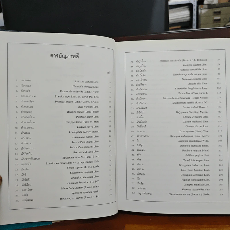 สมุนไพร ไม้พื้นบ้าน เล่ม 1-5 รูปที่ 15