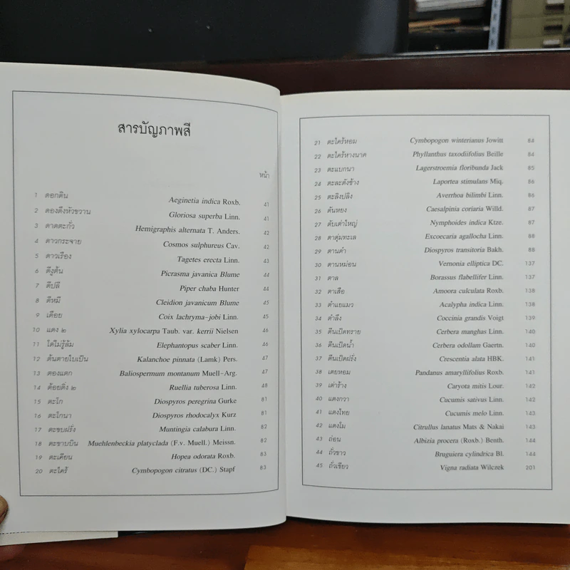 สมุนไพร ไม้พื้นบ้าน เล่ม 1-5 รูปที่ 20