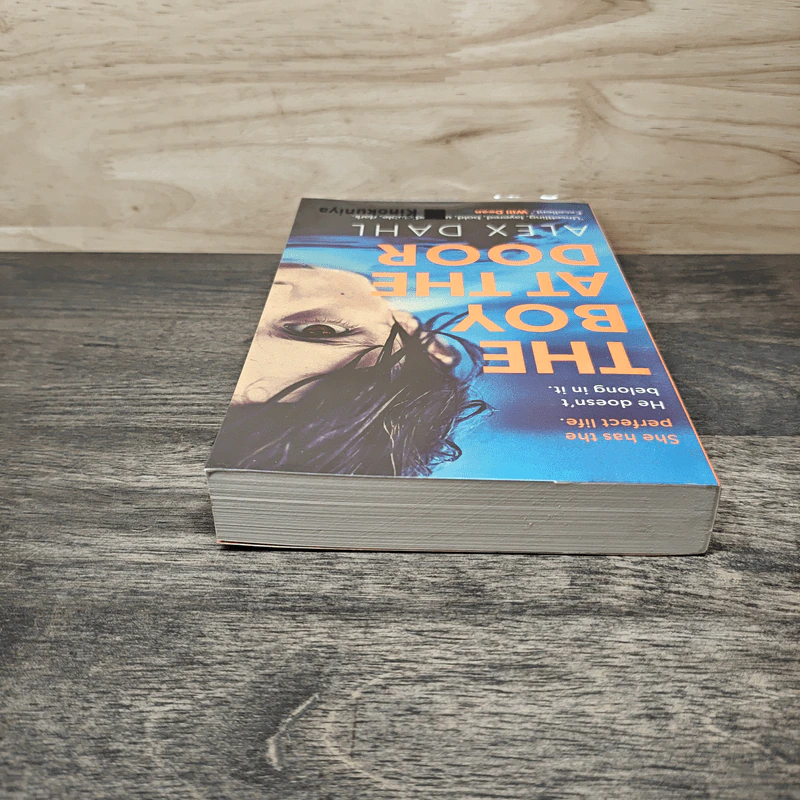 The Boy at the Door - Alex Dahl รูปที่ 4